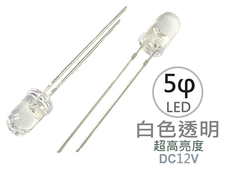 [5只裝] 5φ 白色透明LED-超高亮度型12V