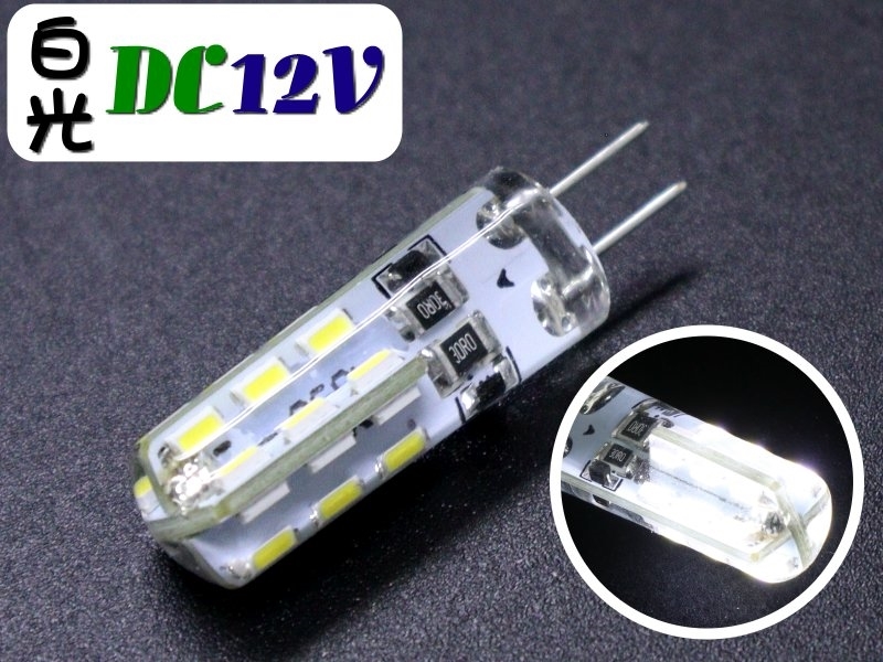 DC12V 24LED插式燈泡 白